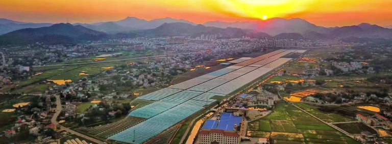 韶山金景豐葡萄產(chǎn)業(yè)園(圖1) 韶山金景豐葡萄產(chǎn)業(yè)園(圖1)