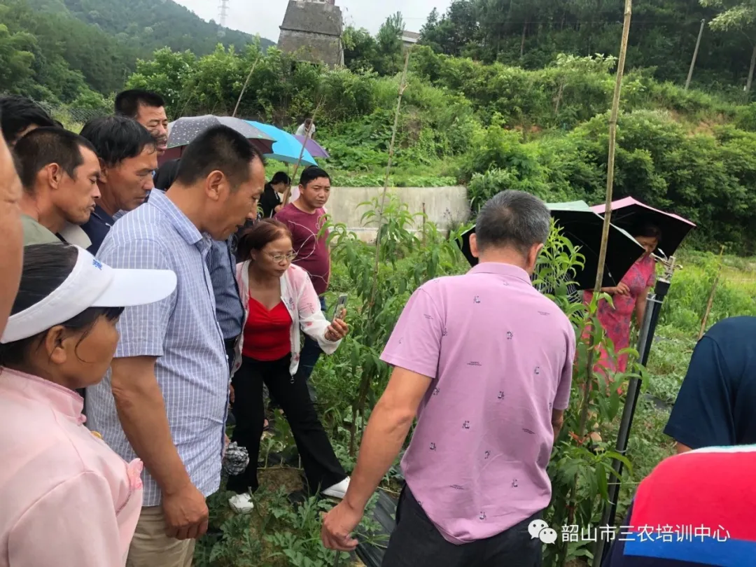 培育新型職業(yè)農(nóng)民 助推鄉(xiāng)村振興——寧鄉(xiāng)市農(nóng)廣校在我中心開展新型職業(yè)農(nóng)民培育水果專題班(圖17) 培育新型職業(yè)農(nóng)民 助推鄉(xiāng)村振興——寧鄉(xiāng)市農(nóng)廣校在我中心開展新型職業(yè)農(nóng)民培育水果專題班(圖17)