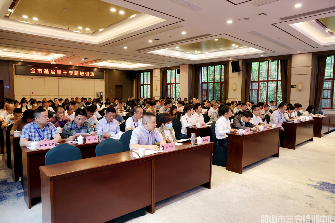 為基層干部賦能充電！全市基層骨干專(zhuān)題培訓(xùn)班開(kāi)班(圖3)