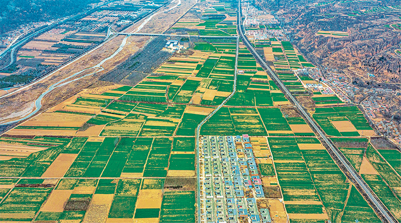 錨定建設(shè)農(nóng)業(yè)強國目標 切實抓好新時代新征程“三農(nóng)”工作--唐仁健(圖1)