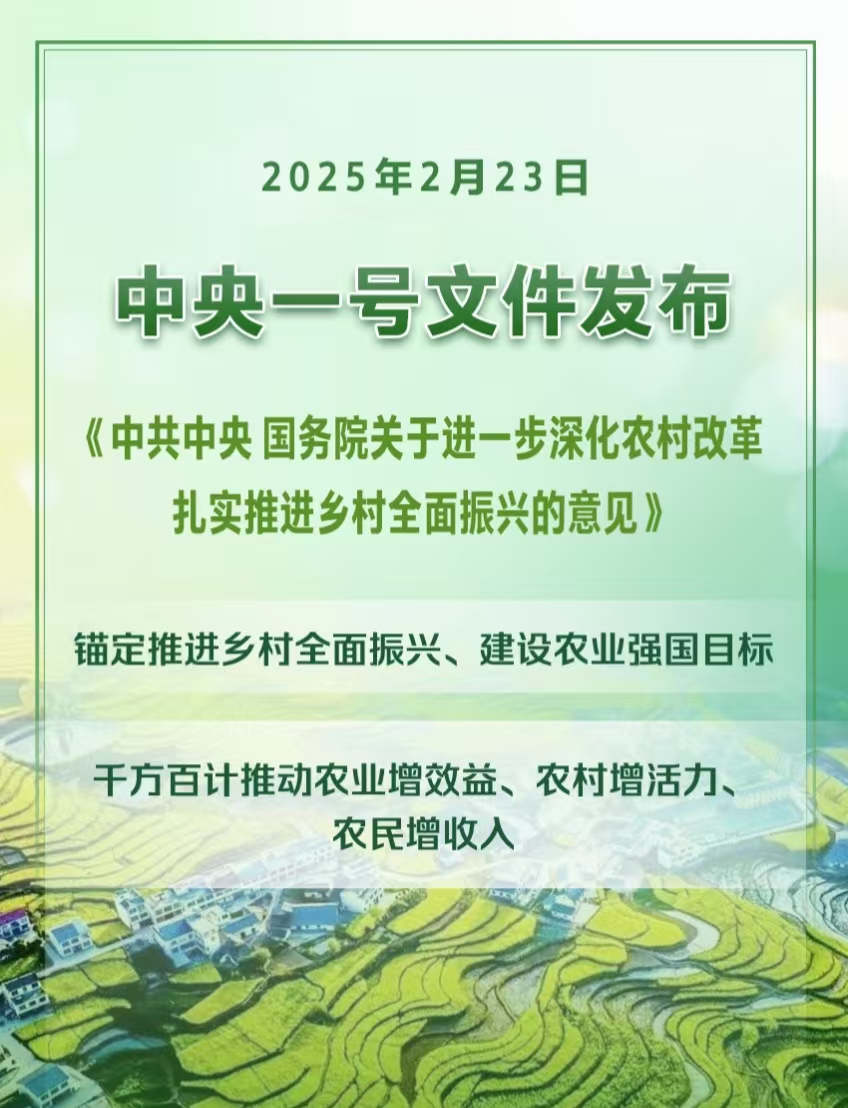 2025年中央一號文件發(fā)布提出扎實推進鄉(xiāng)村全面振興(圖1)